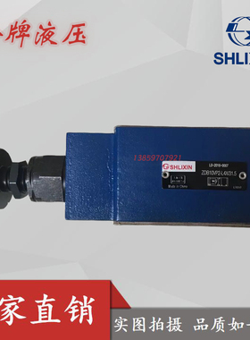 ZDB6VP1-L4X/31.5上海立新Z2DB6VC1/VD2-L4X/31.5 ZDB6VA2/VB1/20