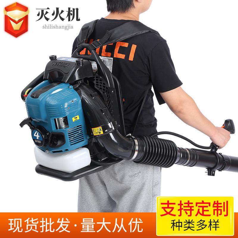 风力灭火机 厂家生产大功率背负道路吹风机 吹雪 森林灭火机,农机/农具/农膜,林业机械,淘宝优惠券,粉丝福利购,淘宝优惠卷