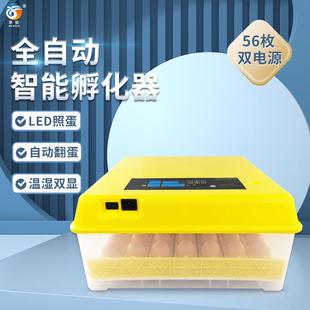56枚全自动家用孵化机 鸡鸭鹅鹌鹑鸟滚轴孵化器 一键照蛋设备箱