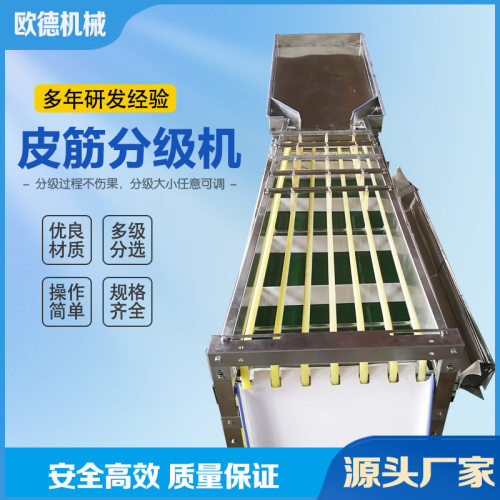 樱桃筛选机 车厘子直径选果机皮筋分级机 橡胶皮带筛选机不伤果