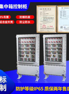 防爆应急照明集中电源箱控制柜 不锈钢防爆配电柜 接线防爆控制箱