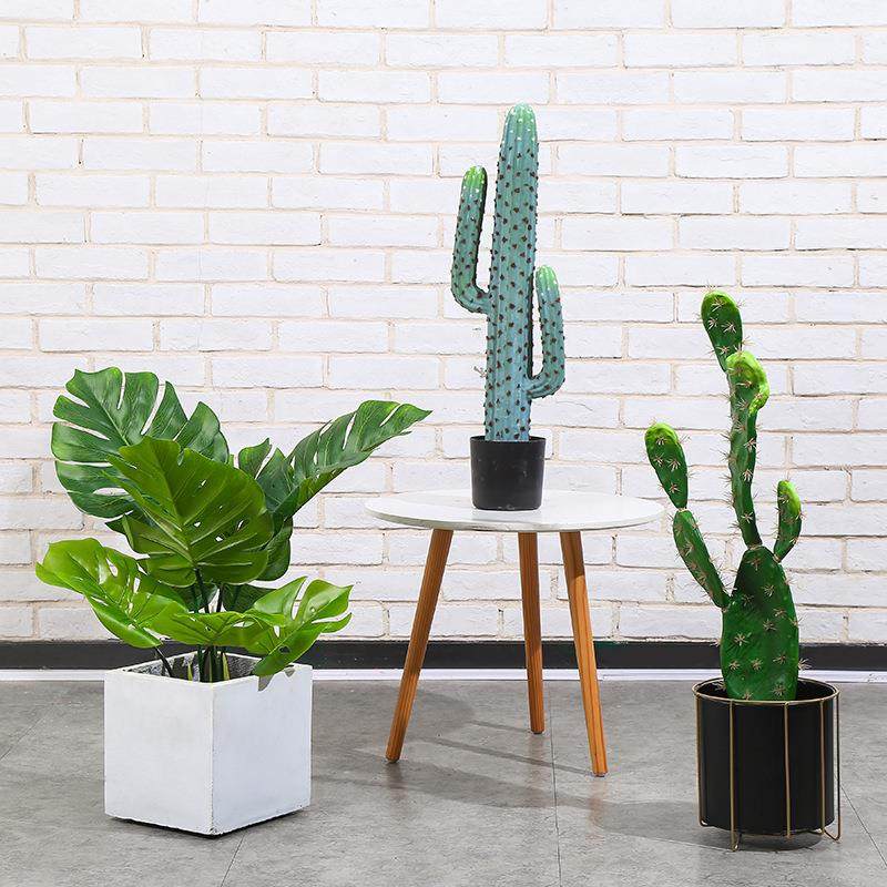 热带雨林仿真仙人掌仙人柱龟背盆栽室内装饰摆件软装搭配绿植假树,鲜花速递/花卉仿真/绿植园艺,仿真绿植,淘宝优惠券,粉丝福利购,淘宝优惠卷