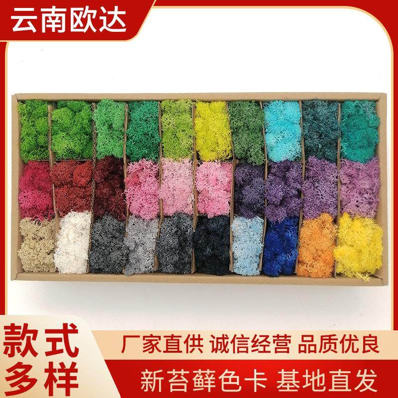 永生花花材新苔藓色卡礼盒制作材料 保鲜花永生苔藓墙体景观装饰,家居饰品,餐桌花艺,淘宝优惠券,粉丝福利购,淘宝优惠卷