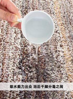 地毯加厚超细纤维浴室地垫家用卫生间门口tpr防滑脚垫植绒地毯垫