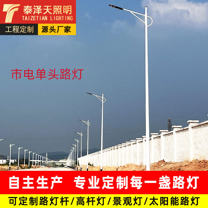 厂家批发led海螺臂6米8米路灯杆 市政道路工程照明市电单臂路灯
