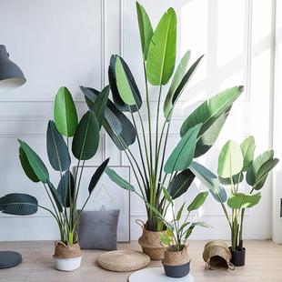 北欧仿真天堂鸟仿真绿植盆栽客厅家居装饰摆件假植物盆景旅人蕉