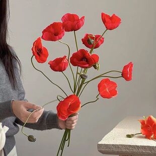 罂粟新款虞美人拍摄冰岛植绒虞美人假花仿真仿真花3家居小装饰头