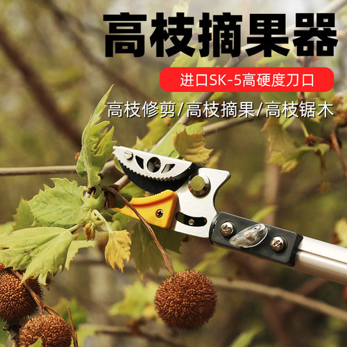 省力果树剪刀伸缩高空修枝剪摘果剪刀采果剪树枝剪刀粗枝剪大力剪