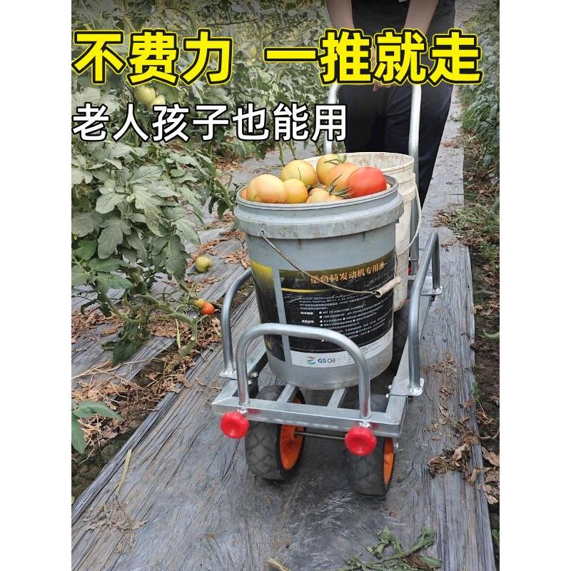 大棚菜地手推采摘车瓜果蔬菜家用运输车宽轮定向轮可推拉耐用拉水