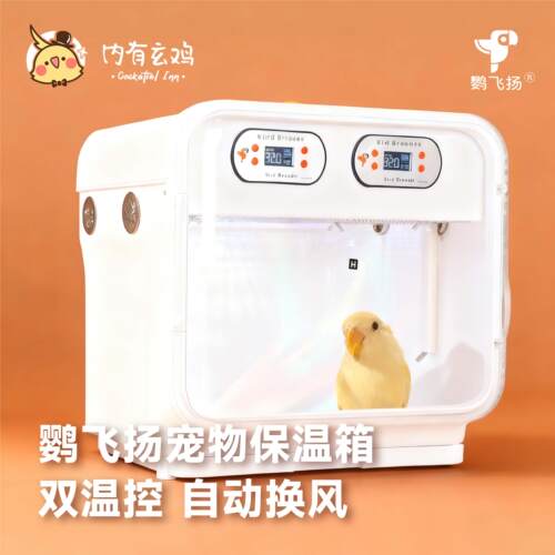 【救我鸟命】鹦飞扬鹦鹉智能PID保温箱恒温风暖牡丹玄凤双控温