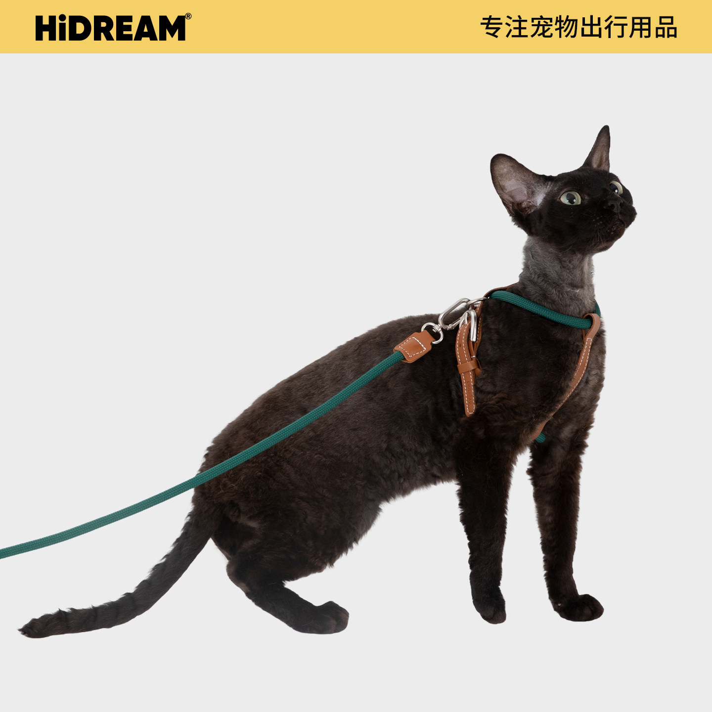 HiDREAM宠生几何穿行跃动猫胸背带可调节X字形防挣脱牵引绳遛猫绳,宠物/宠物食品及用品,猫牵引绳,淘宝优惠券,粉丝福利购,淘宝优惠卷