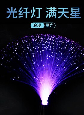 灯光纤变色花灯小花束氛围夜灯光纤节日创意满天星LED装饰七彩灯