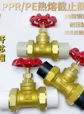 ppr双活接截止阀pe铜截门开关热熔水管总阀4分6分ppr管件活接阀门
