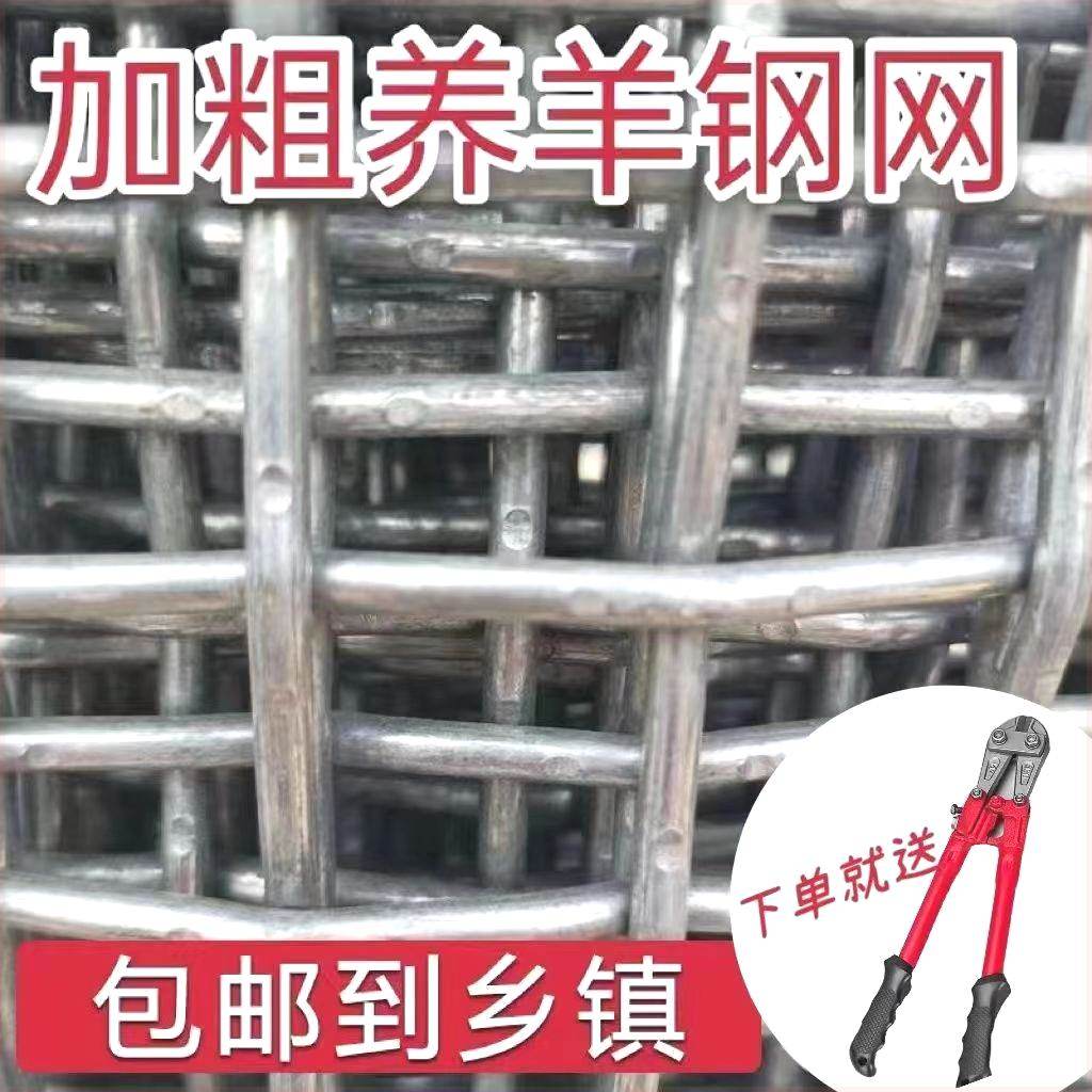 羊床钢丝网镀锌网编织网养羊钢丝网羊床网鸡鸭鹅床网养殖漏粪网