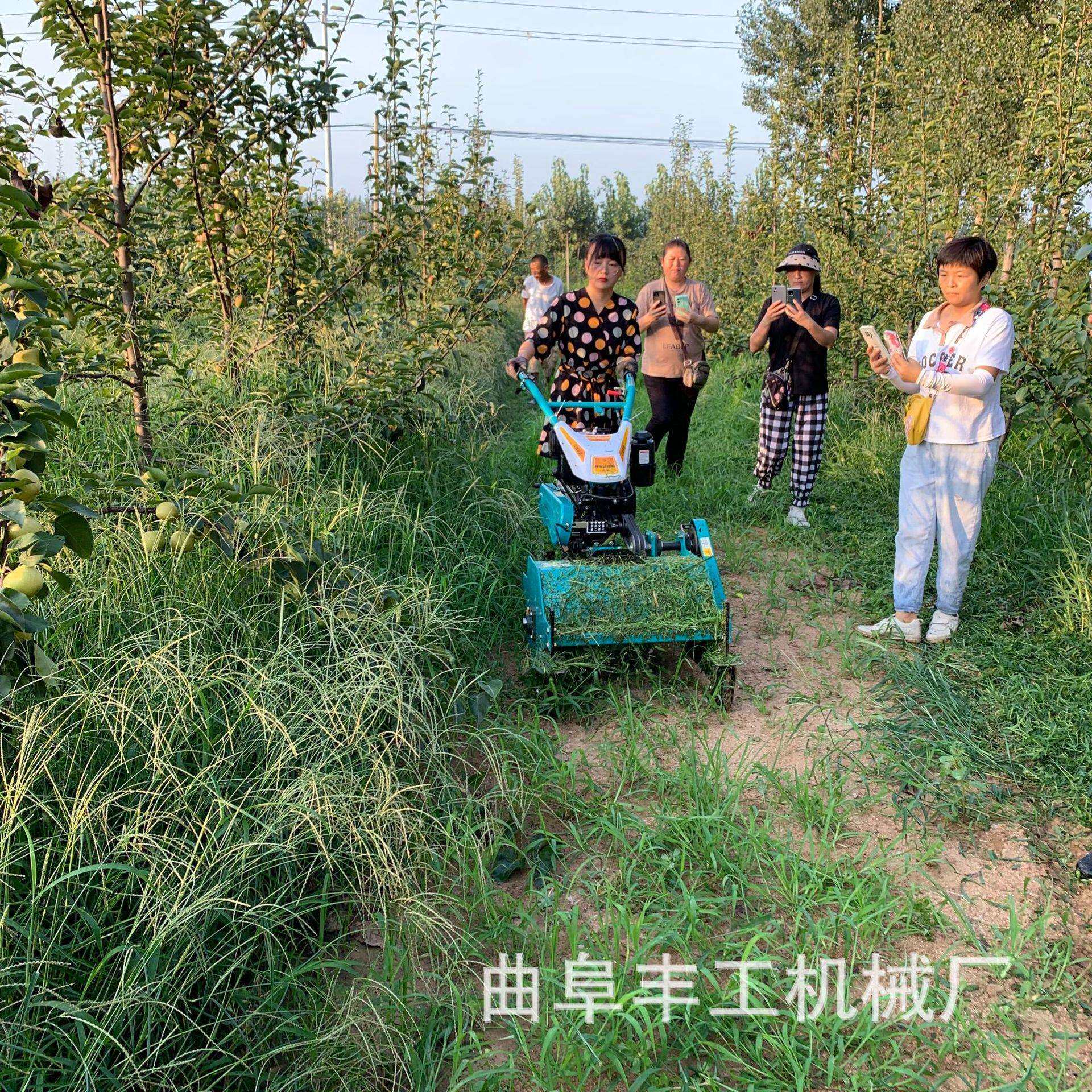 柴油自走式碎草还田机果园大棚低矮型割草机大马力荒地除草机