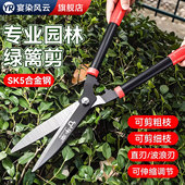 园艺剪刀修枝剪果树修剪树枝剪刀园林修枝专用剪刀花草绿化修剪刀