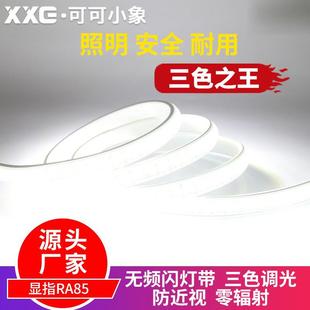 超亮无频闪led灯带三色变色客厅吊顶家用白户外防水卧室双排变光