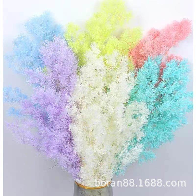 永生蓬莱松 diy配材雪松配材永生花花艺摆件装饰云南厂家直发,家居饰品,餐桌花艺,淘宝优惠券,粉丝福利购,淘宝优惠卷