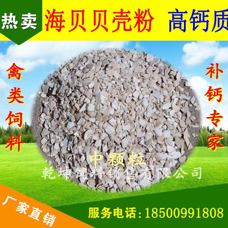 贝壳粉 饲料级 钙 厂家直销 鸡鸭鹅猪牛羊 禽畜水产 饲料添加剂