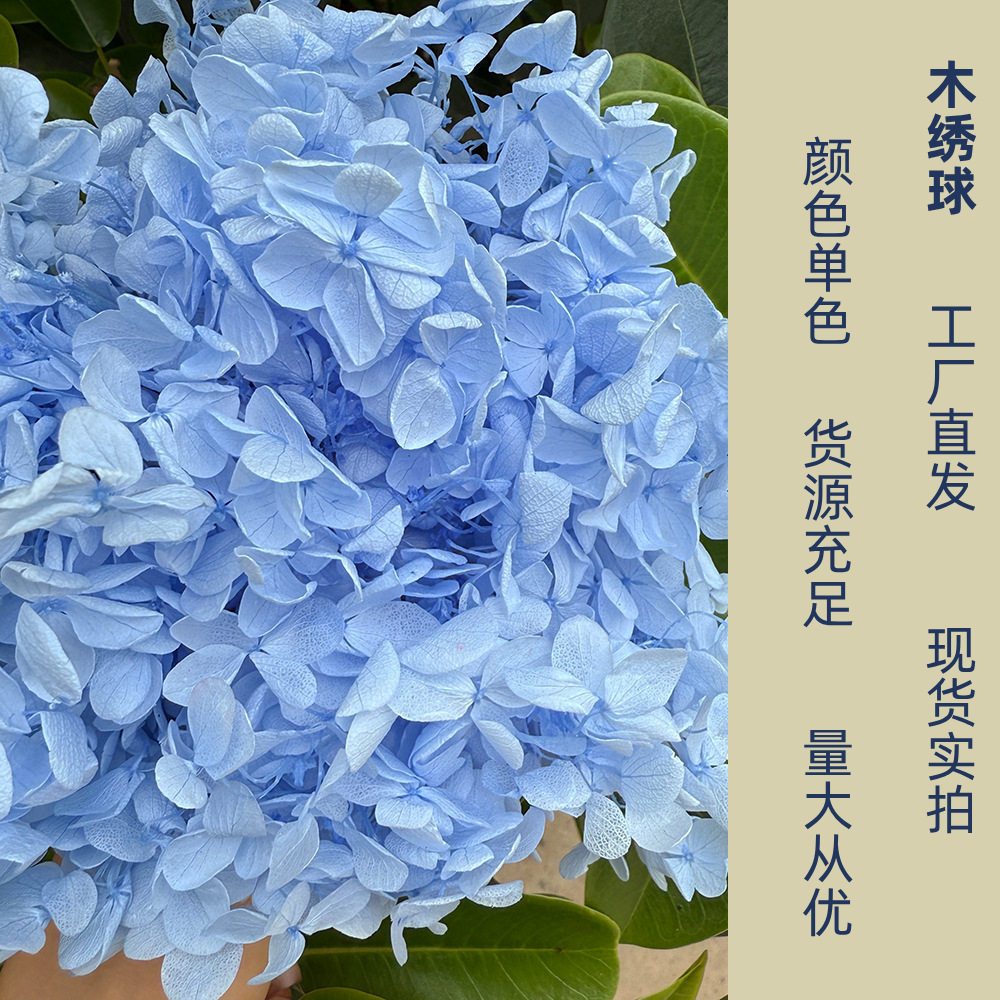 云南永生花宝塔木绣球干花婚庆布置diy花材工厂直发