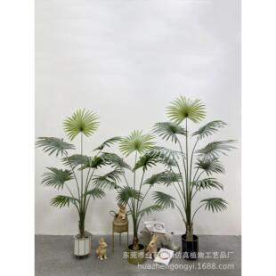 仿真植物盆栽仿真加州蒲葵仿真扇葵家居室内落地装饰唐棕葵圆叶葵