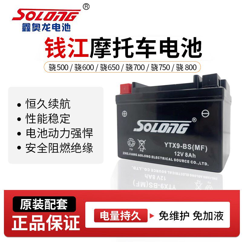 鑫奥龙免维护电瓶适用钱江骁500 600 650 700 750 800摩托车电池