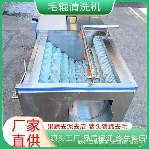 芋头花生洗泥去皮设备 红薯全自动毛辊清洗机 海产品扇贝去泥机