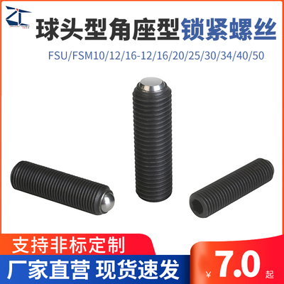 FSU/FSM10/12/16-12/16/20/25/30/34/40/50锁紧螺丝角座型PKZ23