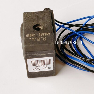 RIELLO利雅路燃烧机2880615电磁阀RBL COD.615线圈P300 P450 T/G