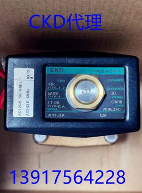 电磁阀AP11/AP12-8A/10/15A/20A-25A-03A-B2C/C2C-AC110V-AC220V