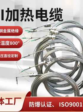 铠装加热器(伴热电缆)MIC-1-02-10 双芯MI加热电缆高温伴热丝