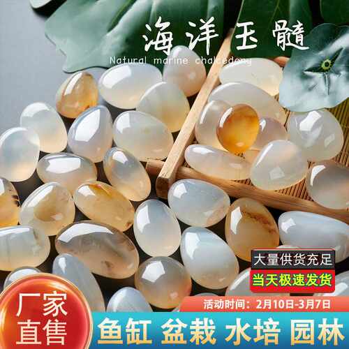 海洋玉髓原石曼扎雨花石鹅卵石花盆水培水仙子鱼缸花瓶小石头景石
