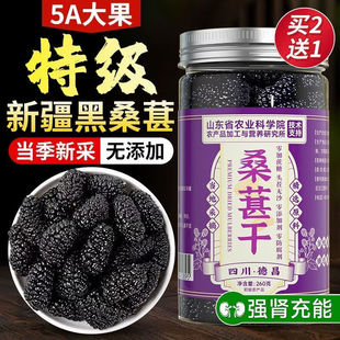 央妈推荐桑葚冲块特级桑葚干正宗新疆材泡水桑葚茶当季新果