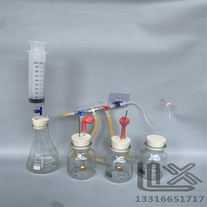 氧气反应速率与产物的探究创新验证一体化教具化学实验高中化学