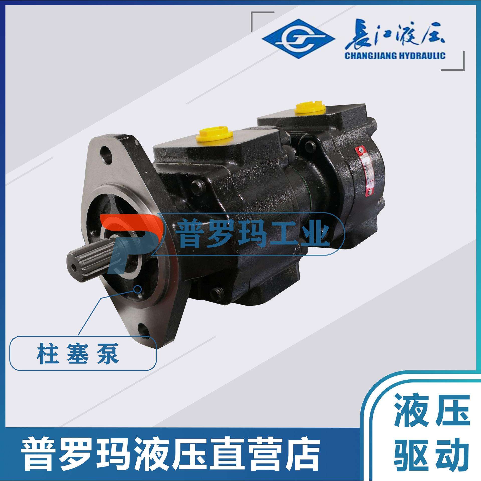 长江齿轮泵CMK1004/1006/1008/1010/1012/1016/1020/25-B4D-439LR