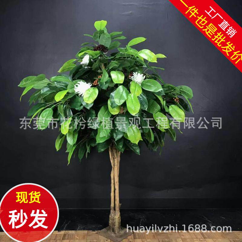 仿真咖啡树盆栽假塑胶咖啡树枝客厅仿真可可树仿真水果树园艺装饰