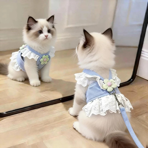猫咪牵引绳甜美花边胸背裙防挣脱