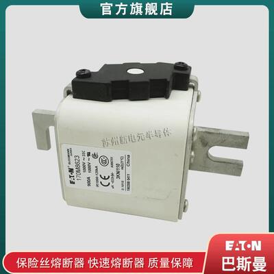 170M8621 170M8622 170M8623 巴斯曼bussmann快速熔断器保险丝