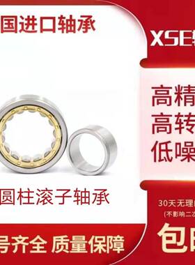 德国XSE圆柱滚子进口轴承N207 N208 N209 N210 EM P4 P5 铜保持架