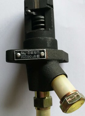 常发常富CF176/R176油泵总成(BF1060Z02)
