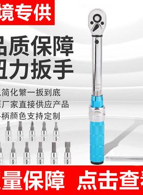 自行车扭力扳手套装2-20NM 1/4棘轮套筒 扭矩扳手厂家直销