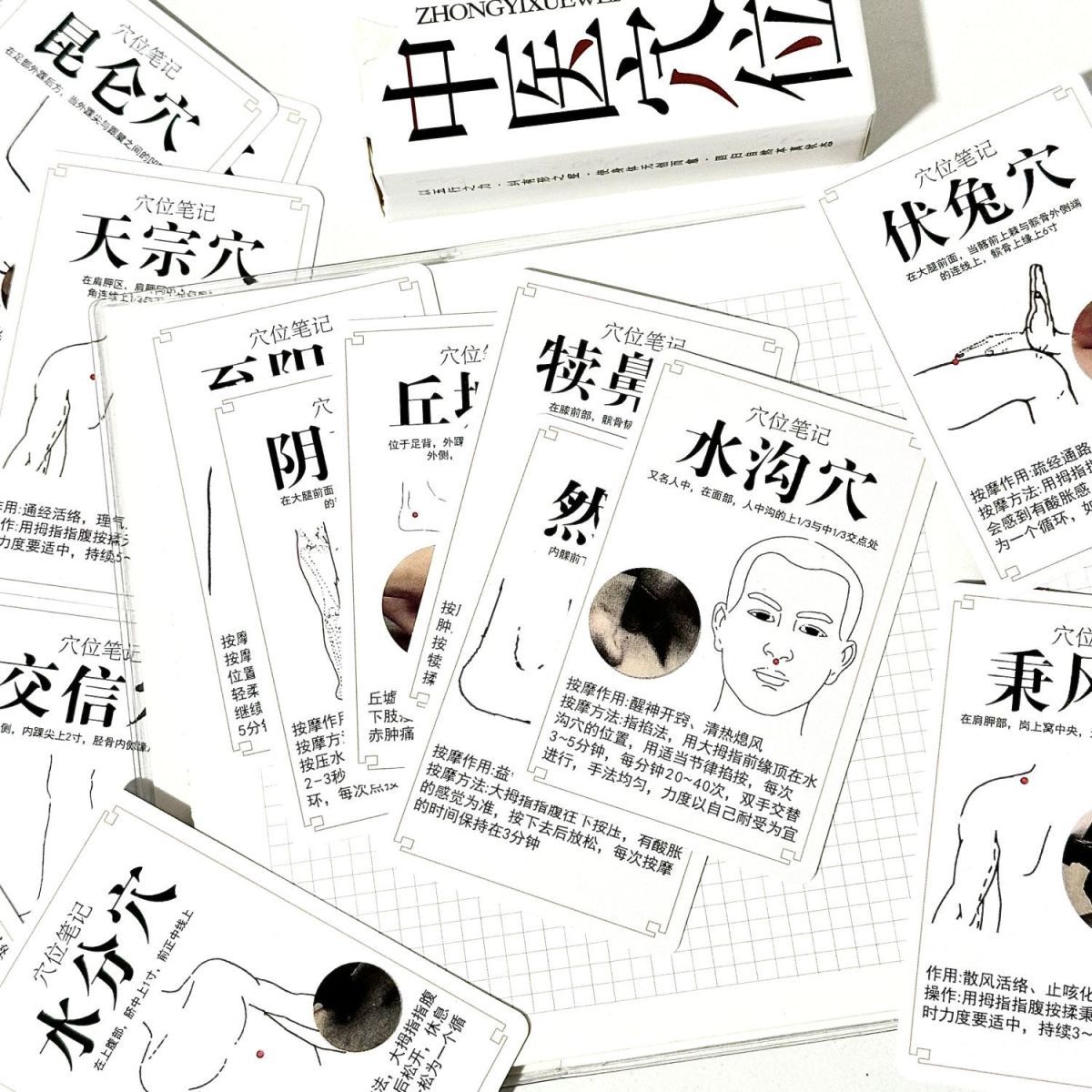 中医穴位笔记学习卡牌