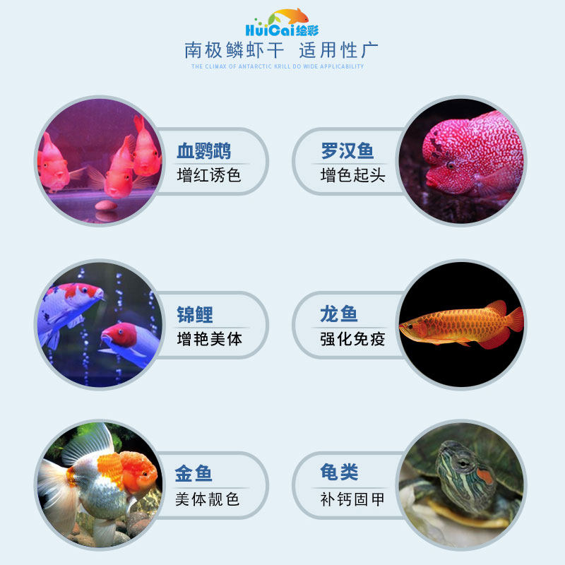 绘彩南极磷虾干虾鱼饲料虾干 血鹦鹉粮罗汉地图热带金银红龙鱼食