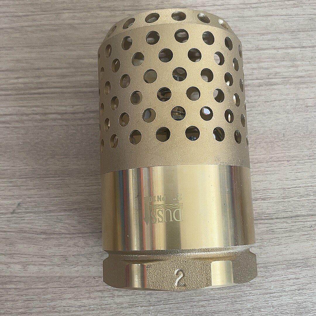 全铜网铜底阀吸水泵弹簧立式止回阀防倒流立式底阀DN20dn25井底阀