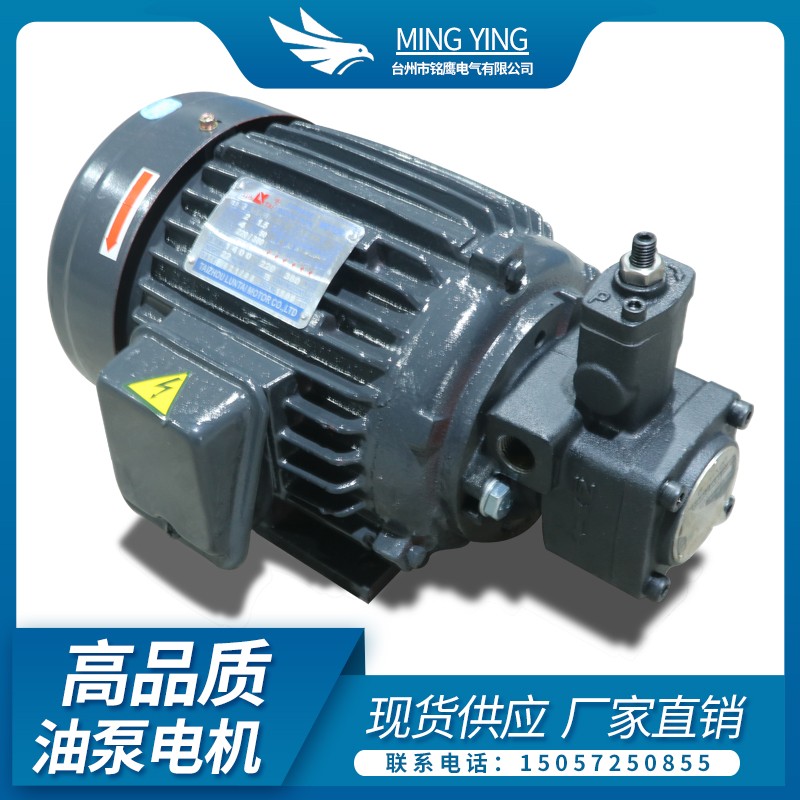 油泵电机组液压专用VP20液压泵总成内轴电机1.5KW液压站配件系统图片