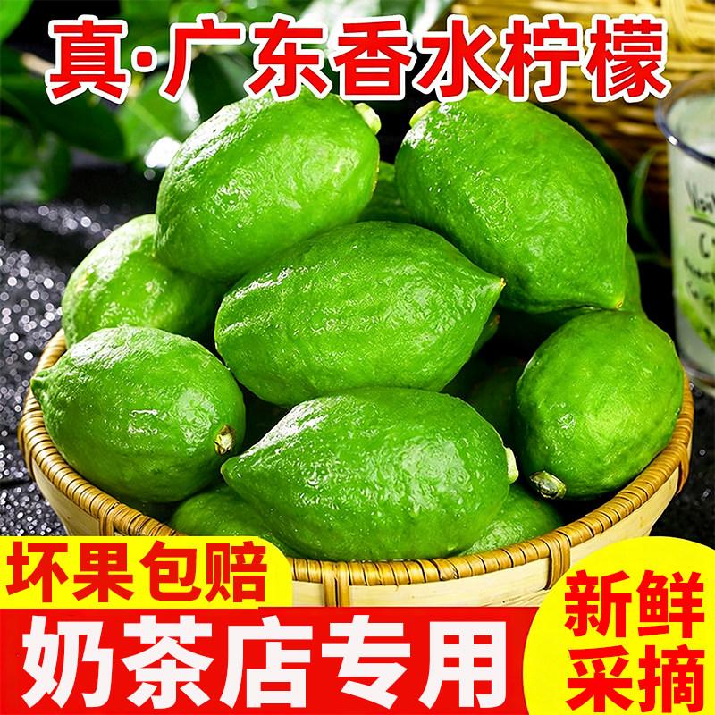 正宗广东香水柠檬新鲜青柠檬无籽大果一级当季水果奶茶店专用现摘