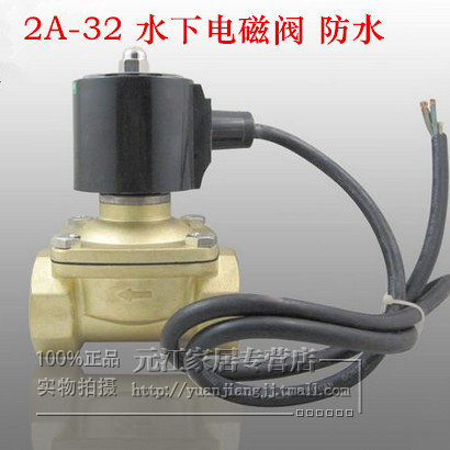 2A-32 水下电磁阀 跑泉电磁阀DN32 1寸2 防水 AC220V DC24V DC12V