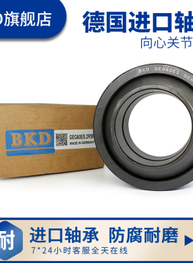 德国BKD进口向心关节轴承GE/90/100/110/120/140/ES/-2RS鱼眼轴承