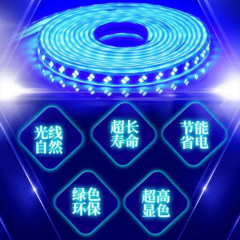220V蓝色灯条超高亮天花吊顶KTV招牌灯箱装饰长条灯蓝光LED灯带