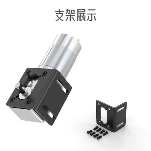 5840-555双轴蜗轮蜗杆直流减速电机12V24V低速调速金属齿轮马达